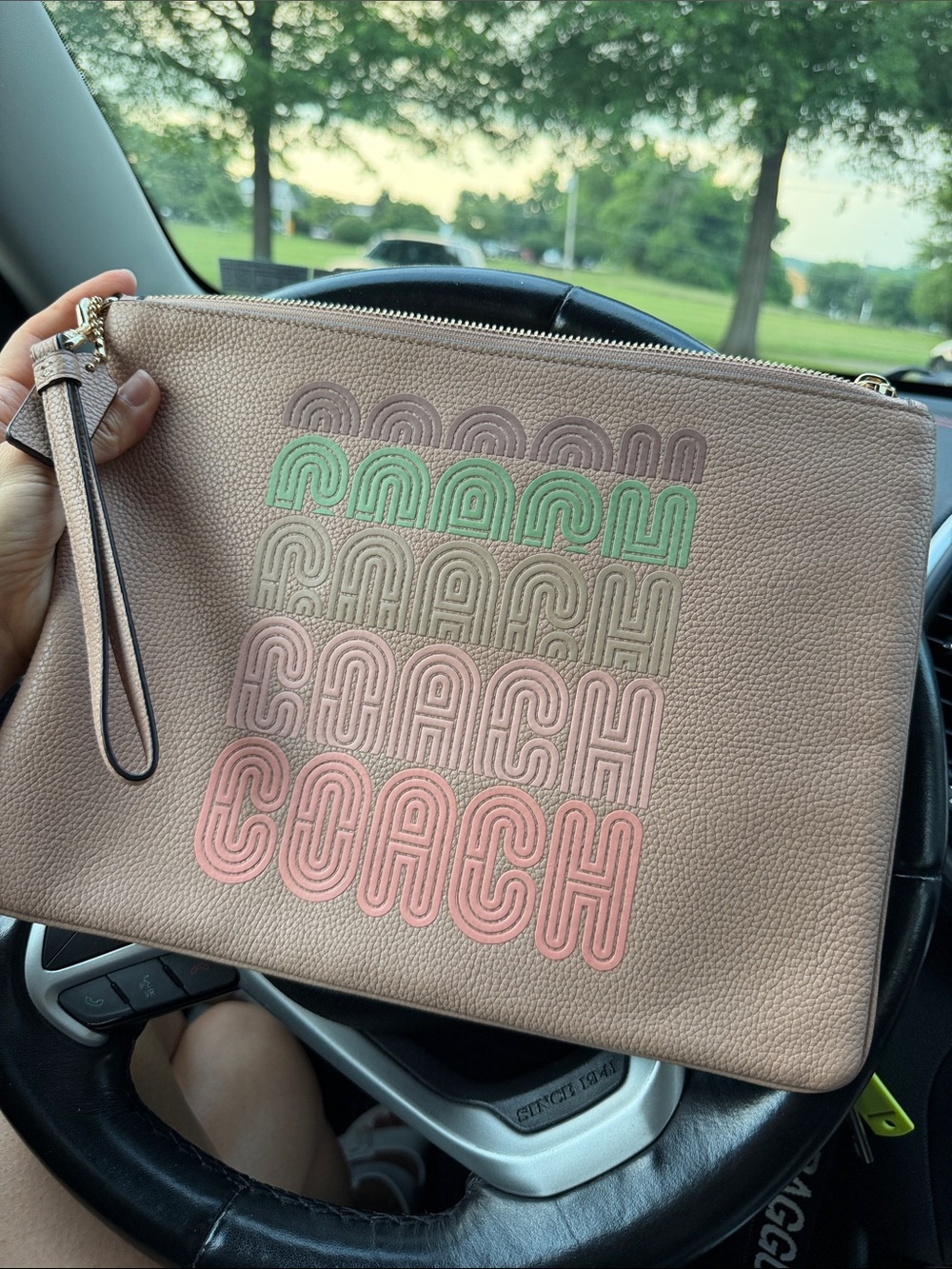 Antique Pink Coach Clutch